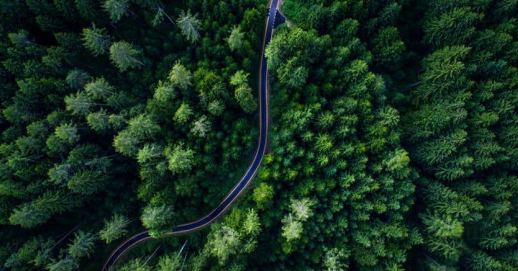 Aerial drone shot of scenic forest and winding road